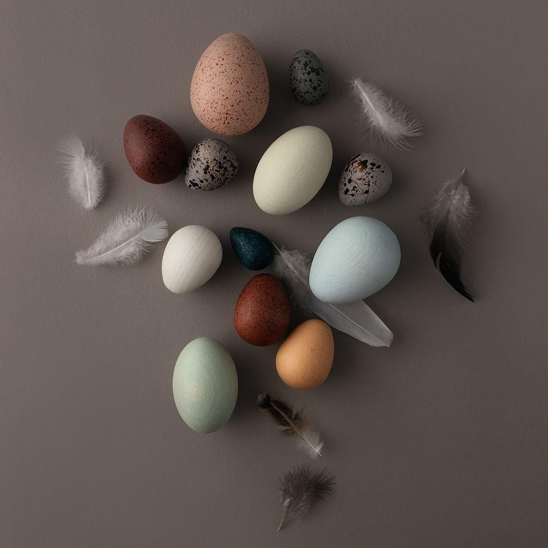 Moon Picnic: A Dozen Bird Eggs - Image 3