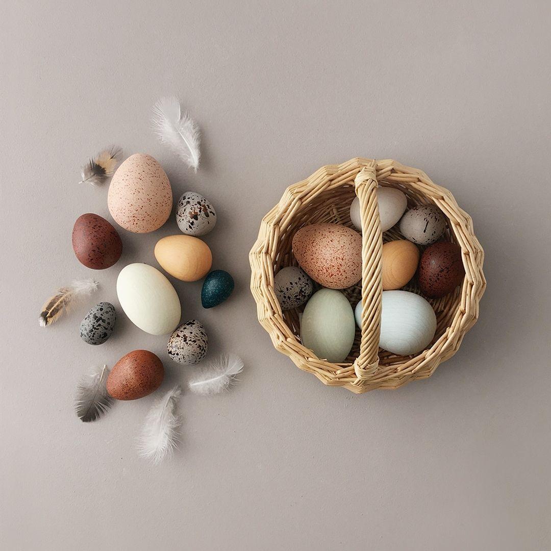 Moon Picnic: A Dozen Bird Eggs