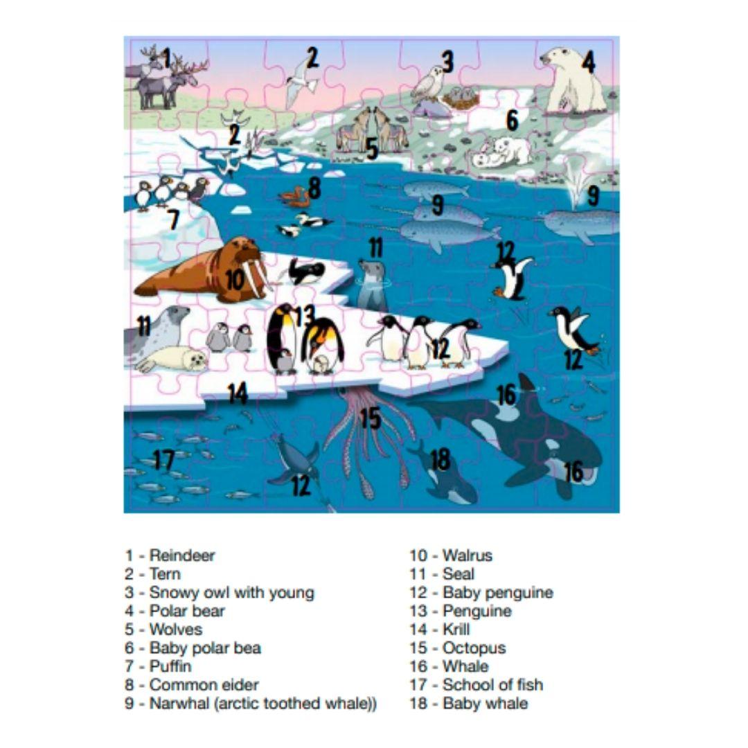 Educo: Velika polarna sestavljanka - Image 2