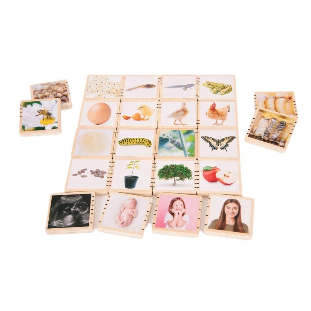 TickiT: Wooden Lifecycle Tiles