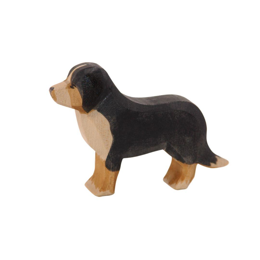 Ostheimer: Bernese Mountain Dog