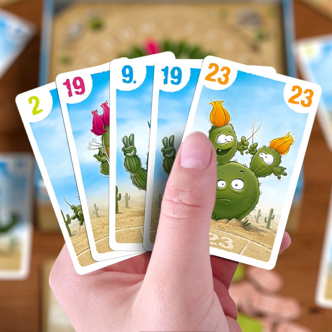 Haba: Cactus King - Image 2