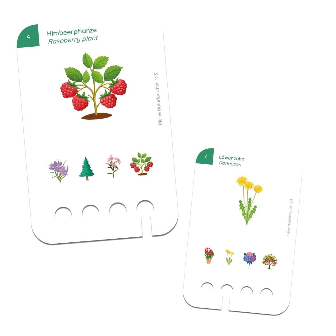 puncho-kolner-first-excersises-little-nature-explorers-2